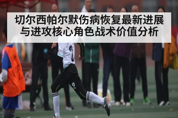 切尔西帕尔默伤病恢复最新进展与进攻核心角色战术价值分析